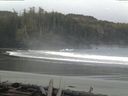 ./images/calvert/beach/20160321/beach20160321_090503.jpg