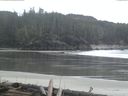 ./images/calvert/beach/20160322/beach20160322_080502.jpg