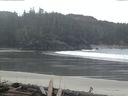 ./images/calvert/beach/20160322/beach20160322_091002.jpg