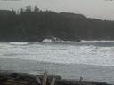 ./images/calvert/beach/20160324/beach20160324_135502.jpg