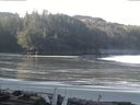 ./images/calvert/beach/20160325/beach20160325_093503.jpg