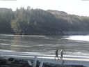 ./images/calvert/beach/20160325/beach20160325_094502.jpg