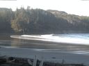 ./images/calvert/beach/20160330/beach20160330_091003.jpg