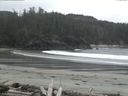 ./images/calvert/beach/20160401/beach20160401_110501.jpg