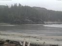./images/calvert/beach/20160403/beach20160403_160501.jpg