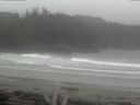 ./images/calvert/beach/20160405/beach20160405_100503.jpg