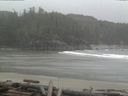 ./images/calvert/beach/20160405/beach20160405_154503.jpg