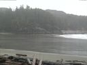 ./images/calvert/beach/20160405/beach20160405_163502.jpg