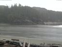 ./images/calvert/beach/20160405/beach20160405_180501.jpg