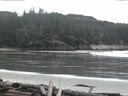 ./images/calvert/beach/20160406/beach20160406_080002.jpg