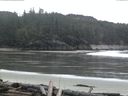 ./images/calvert/beach/20160406/beach20160406_081502.jpg