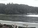 ./images/calvert/beach/20160406/beach20160406_082502.jpg