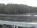 ./images/calvert/beach/20160407/beach20160407_072502.jpg