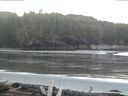 ./images/calvert/beach/20160407/beach20160407_073503.jpg