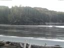 ./images/calvert/beach/20160407/beach20160407_080002.jpg