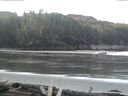 ./images/calvert/beach/20160407/beach20160407_082002.jpg