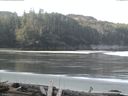 ./images/calvert/beach/20160407/beach20160407_084502.jpg