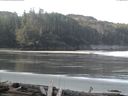 ./images/calvert/beach/20160407/beach20160407_085003.jpg