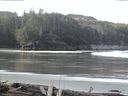 ./images/calvert/beach/20160407/beach20160407_091503.jpg