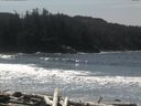 ./images/calvert/beach/20160407/beach20160407_131502.jpg