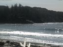 ./images/calvert/beach/20160407/beach20160407_135001.jpg