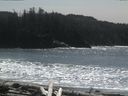 ./images/calvert/beach/20160407/beach20160407_140503.jpg