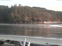 ./images/calvert/beach/20160407/beach20160407_201003.jpg