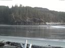 ./images/calvert/beach/20160407/beach20160407_202502.jpg
