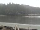 ./images/calvert/beach/20160408/beach20160408_091502.jpg