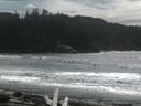 ./images/calvert/beach/20160408/beach20160408_142002.jpg