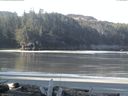 ./images/calvert/beach/20160409/beach20160409_092501.jpg
