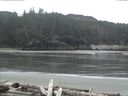 ./images/calvert/beach/20160409/beach20160409_100502.jpg