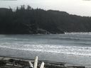 ./images/calvert/beach/20160409/beach20160409_152502.jpg