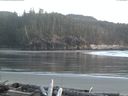 ./images/calvert/beach/20160409/beach20160409_201501.jpg