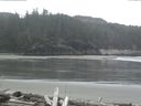 ./images/calvert/beach/20160410/beach20160410_114003.jpg