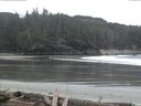./images/calvert/beach/20160411/beach20160411_082002.jpg