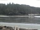 ./images/calvert/beach/20160411/beach20160411_100502.jpg