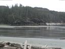 ./images/calvert/beach/20160411/beach20160411_110502.jpg