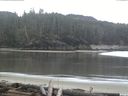 ./images/calvert/beach/20160412/beach20160412_113502.jpg