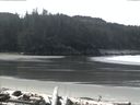 ./images/calvert/beach/20160413/beach20160413_112502.jpg