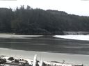 ./images/calvert/beach/20160413/beach20160413_114501.jpg