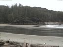 ./images/calvert/beach/20160415/beach20160415_160502.jpg