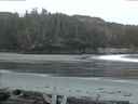 ./images/calvert/beach/20160419/beach20160419_060501.jpg