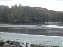 ./images/calvert/beach/20160420/beach20160420_061003.jpg