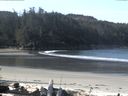 ./images/calvert/beach/20160420/beach20160420_095002.jpg