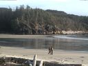 ./images/calvert/beach/20160420/beach20160420_191002.jpg