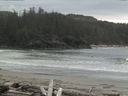 ./images/calvert/beach/20160421/beach20160421_150003.jpg