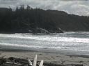 ./images/calvert/beach/20160424/beach20160424_152502.jpg