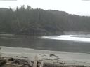 ./images/calvert/beach/20160428/beach20160428_091002.jpg