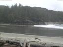 ./images/calvert/beach/20160428/beach20160428_140003.jpg